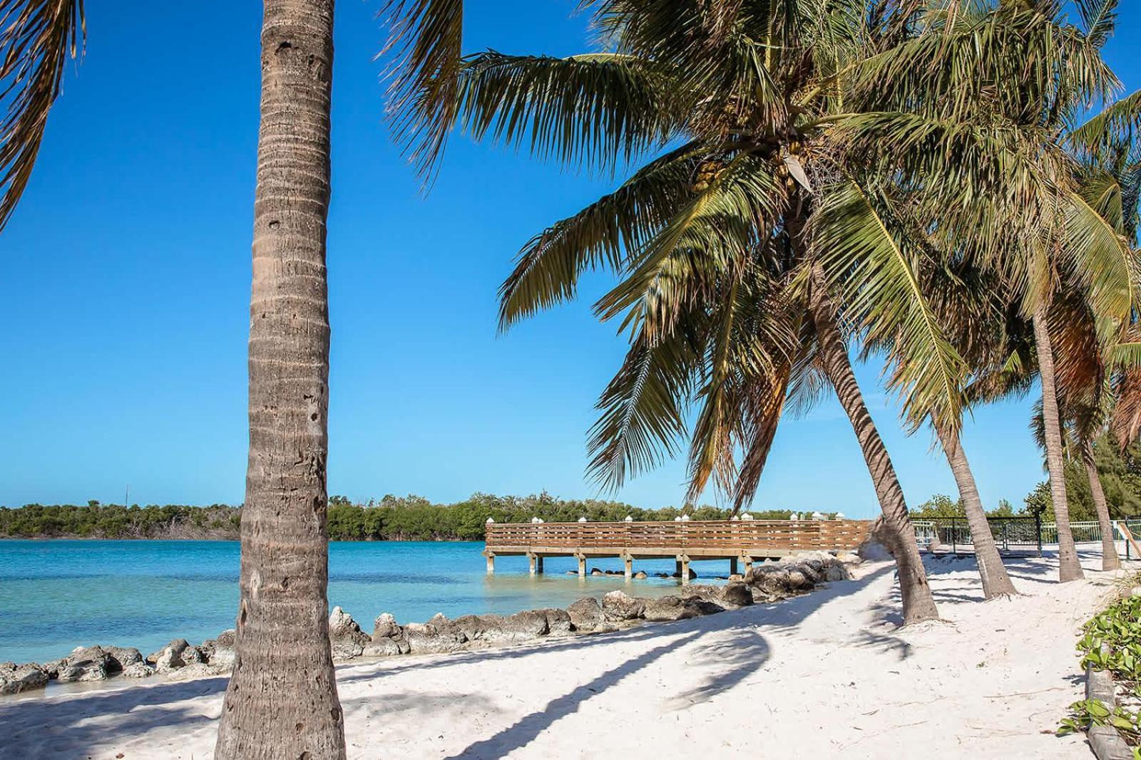 Villa Vaca Cut With 60' Dock 4Br-4Ba 2 Kitchens Marathon Exterior foto